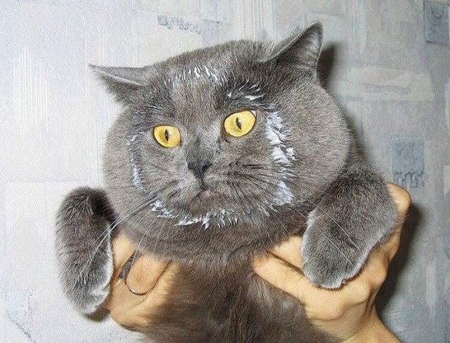 Жулик