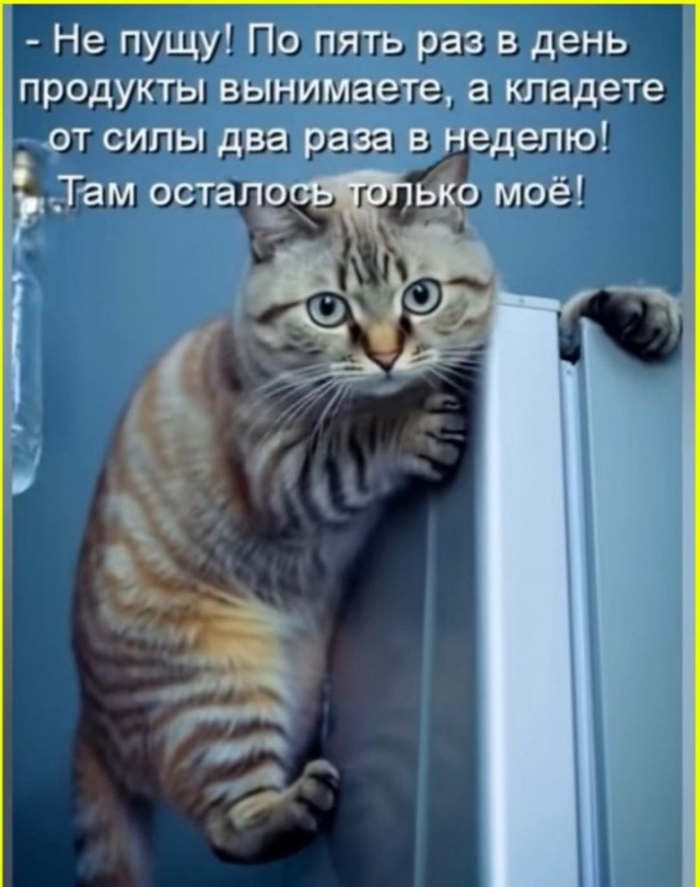 Пятничные картинки