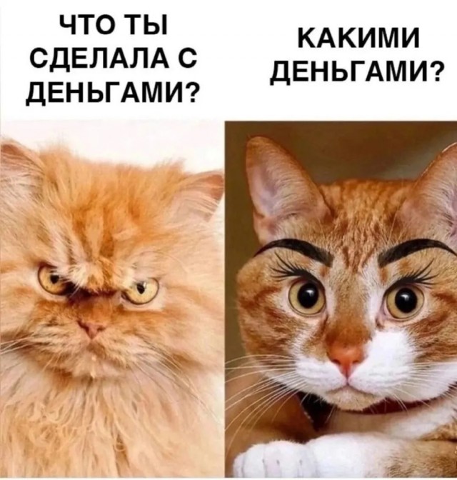 Четверговые картинки