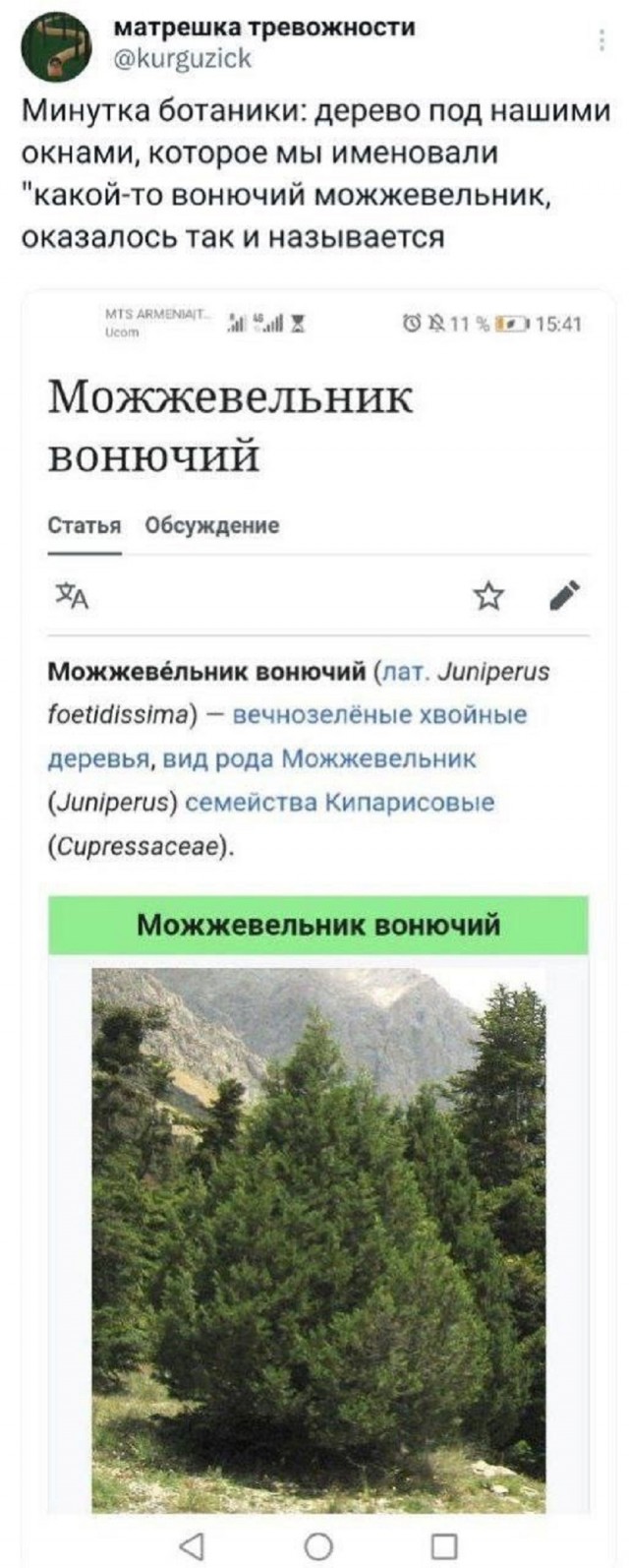 Так себе картинки 18.03.26