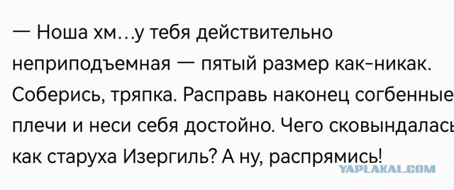 Новинка—2026! Роман про попаданца: "Путешественник во времени"