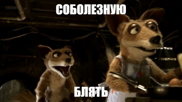 Как я ходил в поход