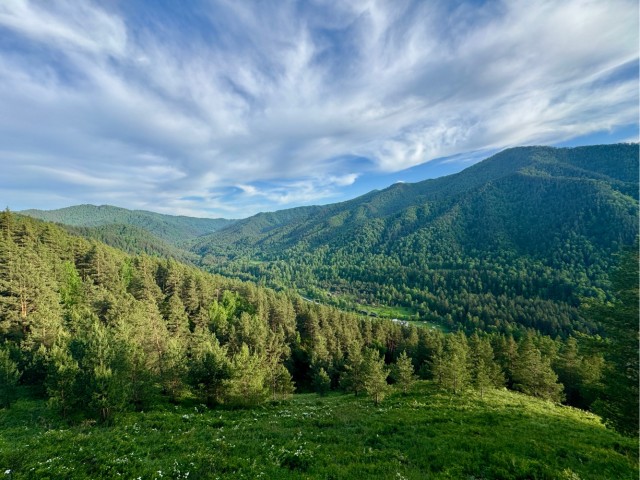 Смотри на небо