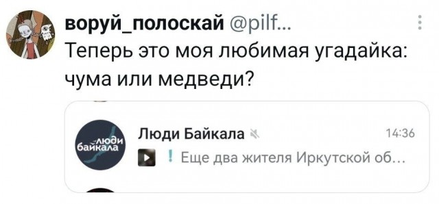 Картинки для деградации 294 (разной степени свежести)