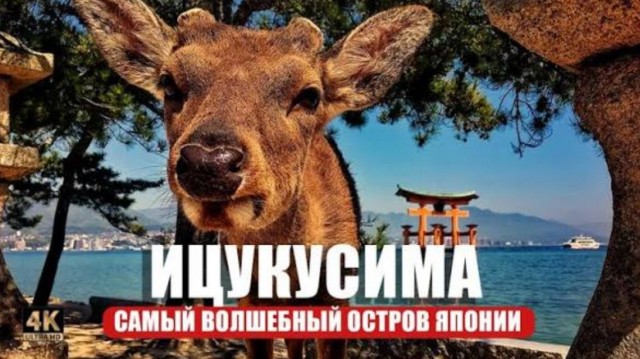 "Раньше здесь был лес, знаешь ли"