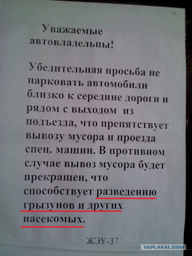 Подъездная жизнь
