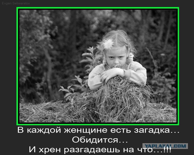 Смешные картинки