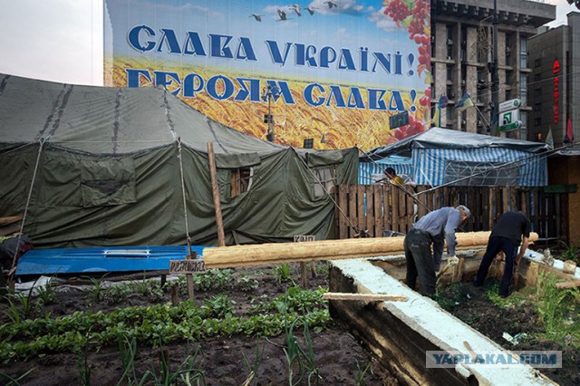 Плохой Майдан