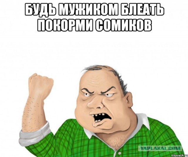 Сомы сходят с ума