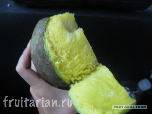 Дорогая, нарежь мне борща!