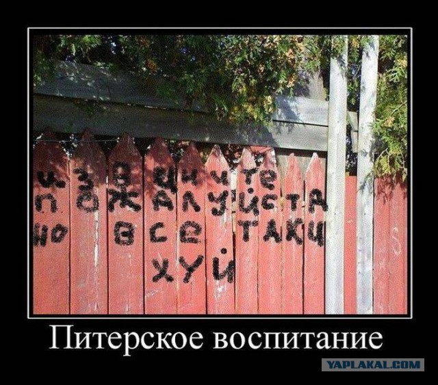 Пятничная подборка
