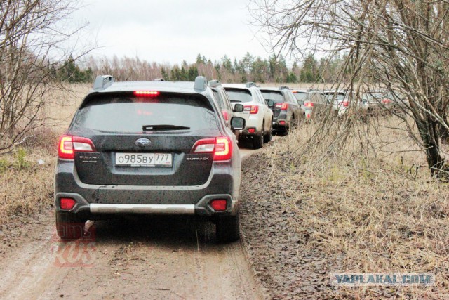 Subaru Outback 2015 против Российского бездорожья!