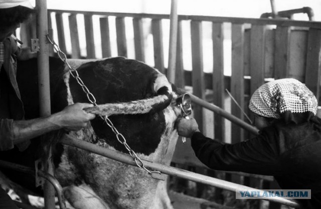 Grably. Начало