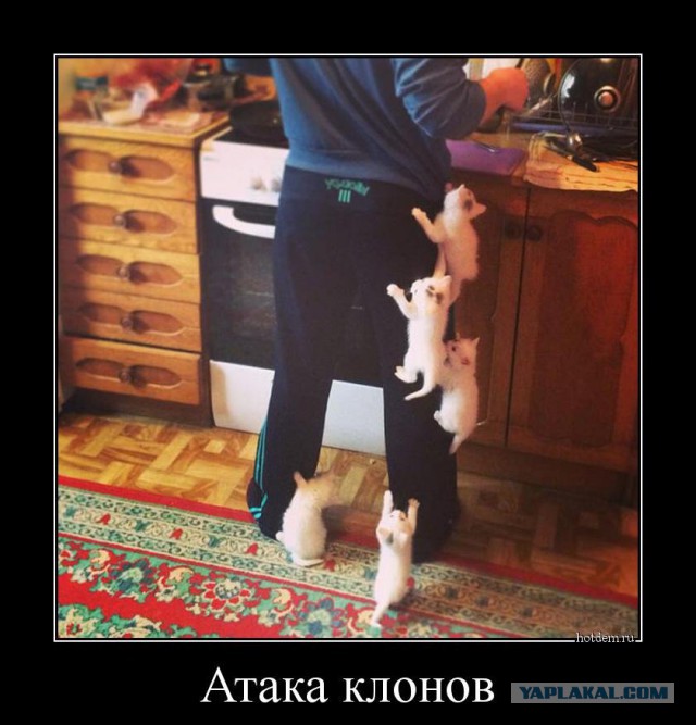 Подборка за неделю