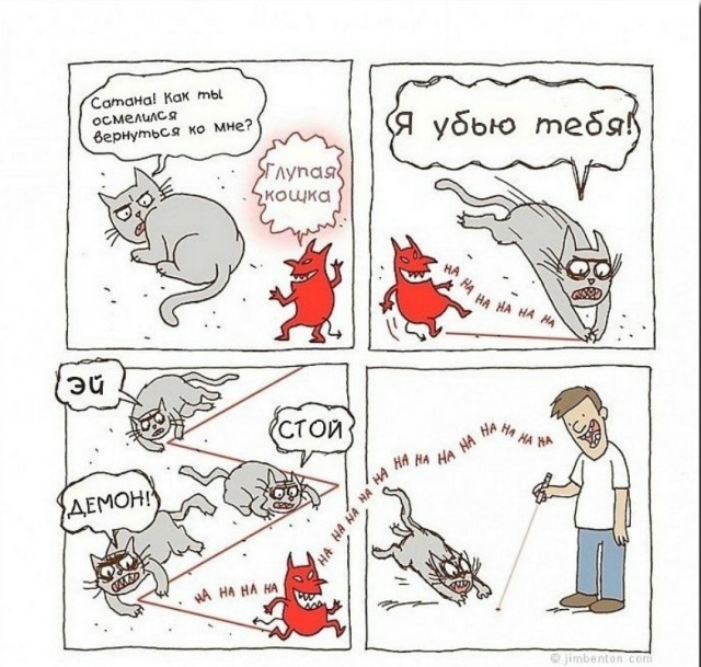 Лазерная указка и реакция животных на нее