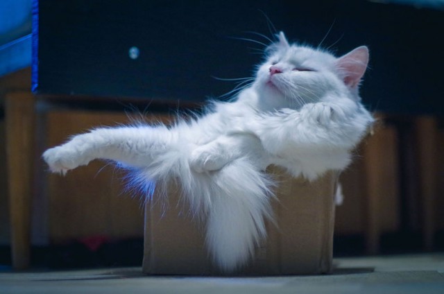 Подборка интересных и смешных картинок