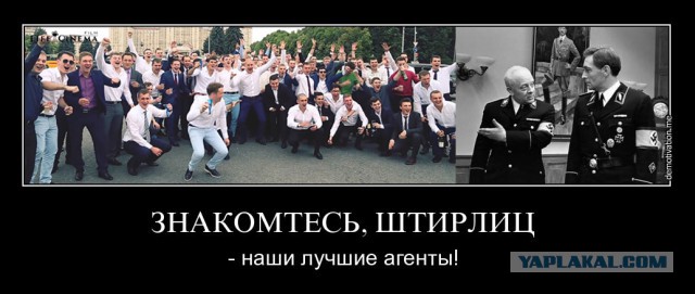 ФСБ отреагировала на заезд выпускников своей Академии в колонне Gelandewagen