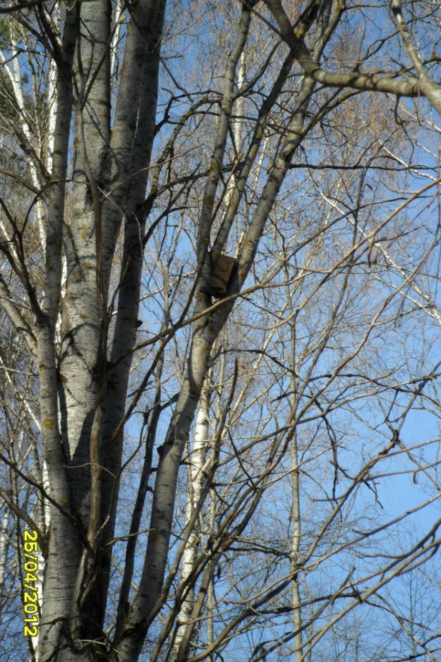 Эхо войны и природа