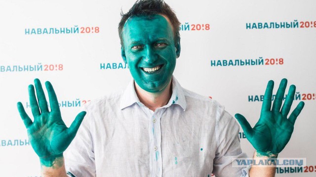 Навального облили зеленкой перед открытием предвыборного штаба в Барнауле