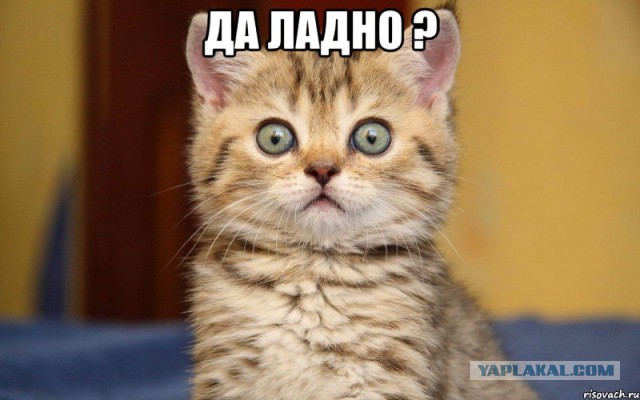 От чего зависит количество партнеров у женщины?