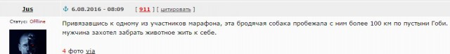 Ошибки, на которые нельзя не обратить внимания