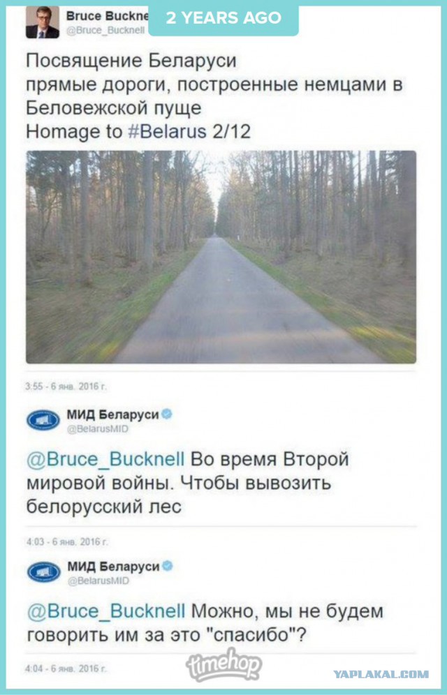 Тупик эволюции