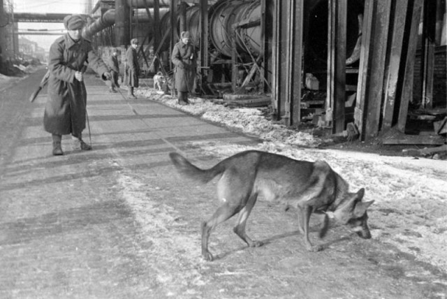 Взятие Будапешта 13 февраля 1945 года.