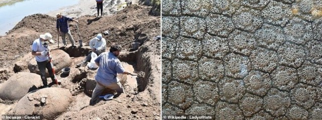Глиптодон: Мегафауна, которую уничтожил человек. Закат гигантских броненосцев