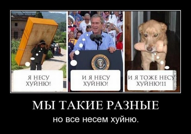 Что она несёт?