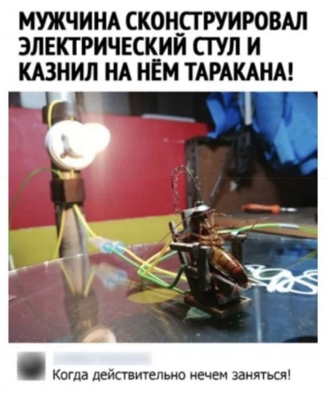 Аморальная деградация