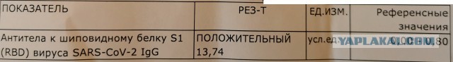 Вирусолог рассказал, надо ли вакцинироваться переболевшим "ковидом"