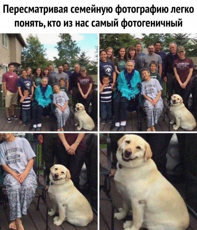 Так себе картинки 22.07.21