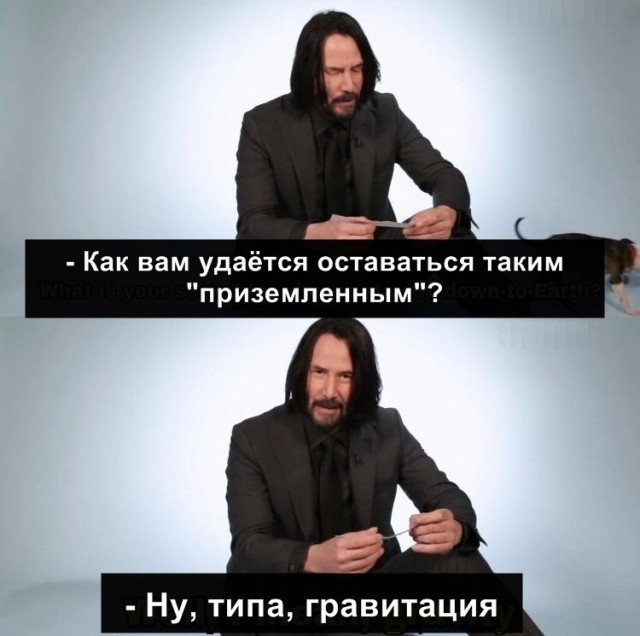 Каталог советских игрушек. Практически описание тяжелого похмела
