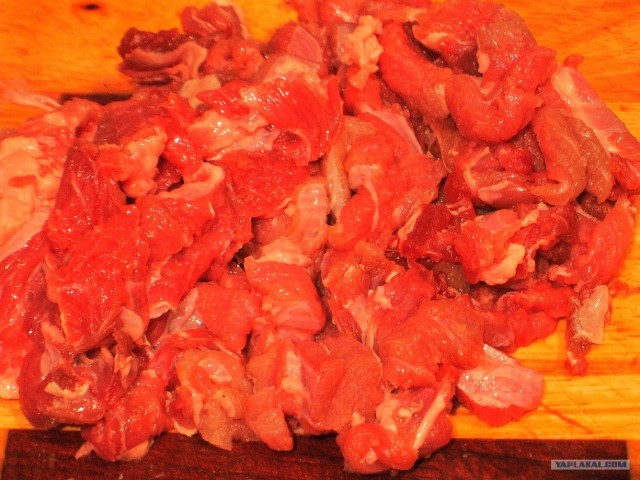 Пятничные посиделки на теплотрассе ©