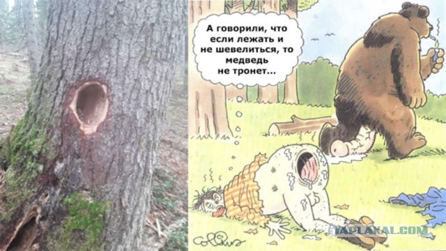 Путин опять ушел в тайгу. На четыре дня