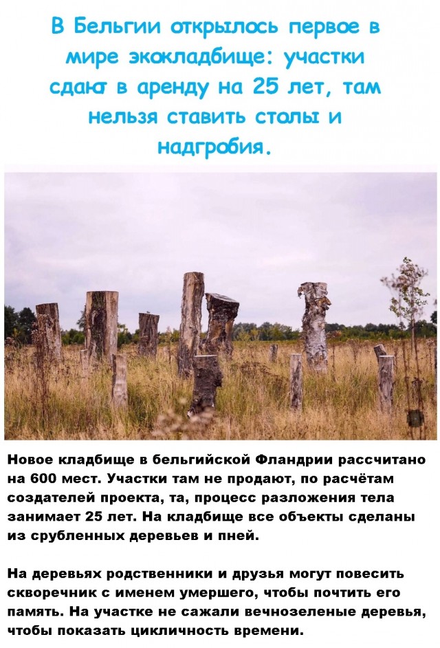 Картинки и мемы для настроения 12.10.2021