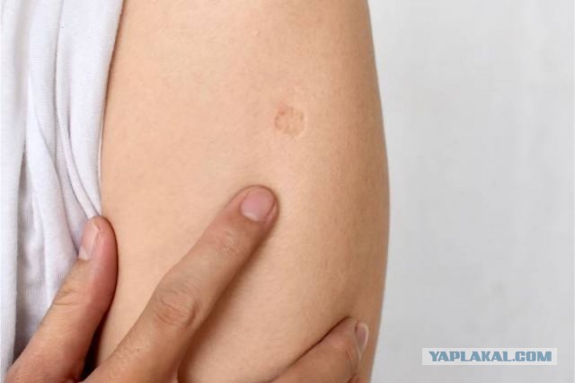 А ведь он был прав