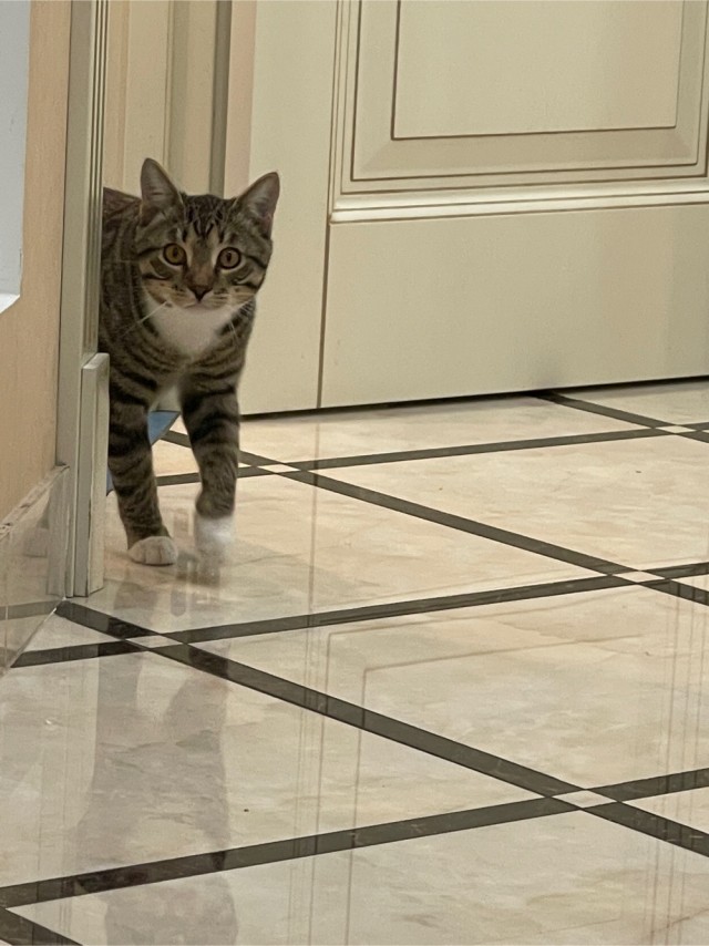 Вторник. Котэ. Пора