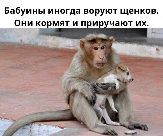 Так себе картинки 23.03.22