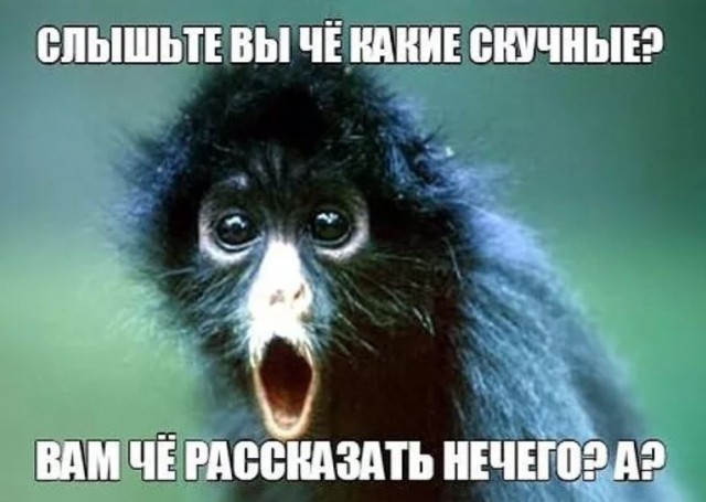 Пандемия съехавших крыш - разновидности болезни. Россия и мир. Часть 37