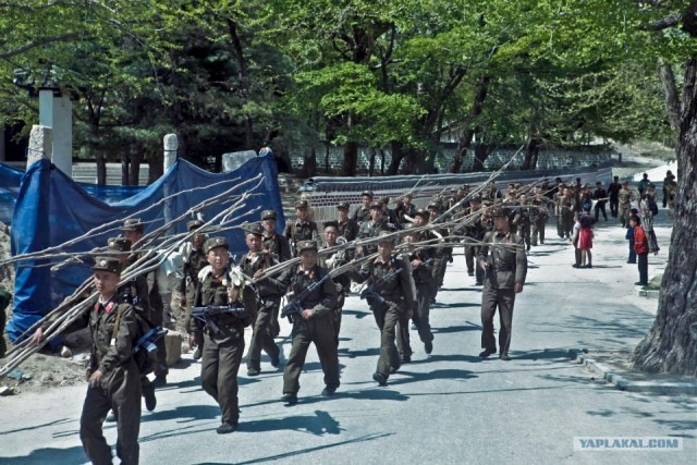 Северная Корея "в цвете"
