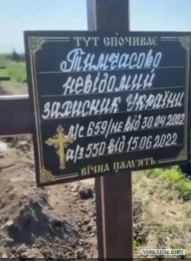 Пандемия съехавших крыш - разновидности болезни. Россия и мир. Часть 39.