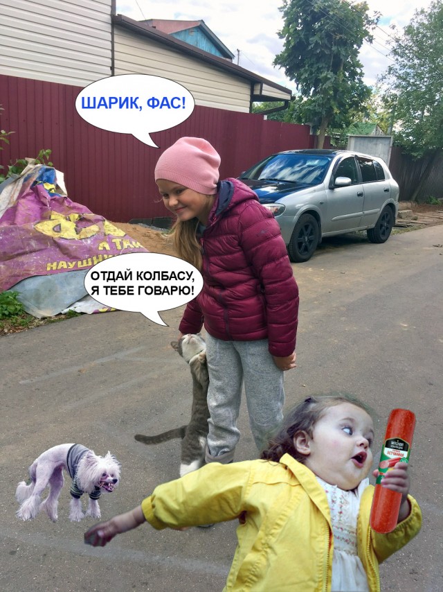 Девочка с кошечкой