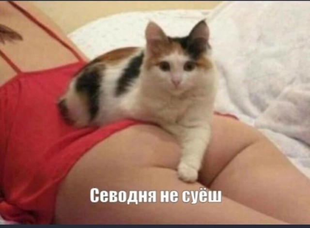 Пятничная деградация