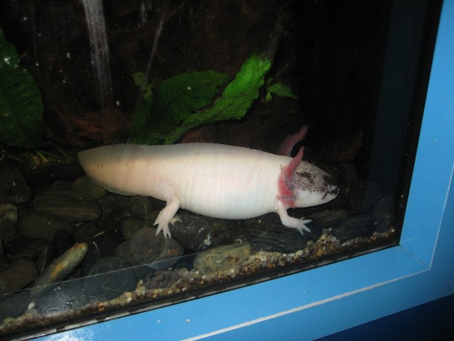 Испания - чудесная страна!