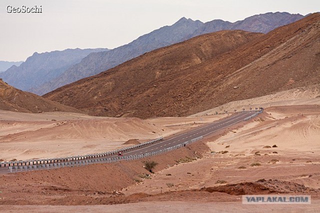 Синайские приключения. Шарм-эш-Шейх и окресности