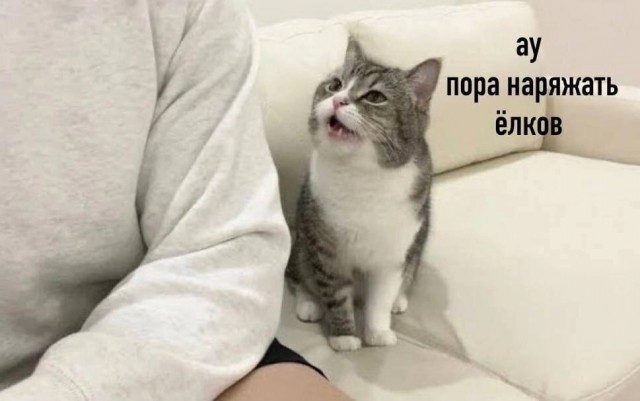 Юмор в картинках и без