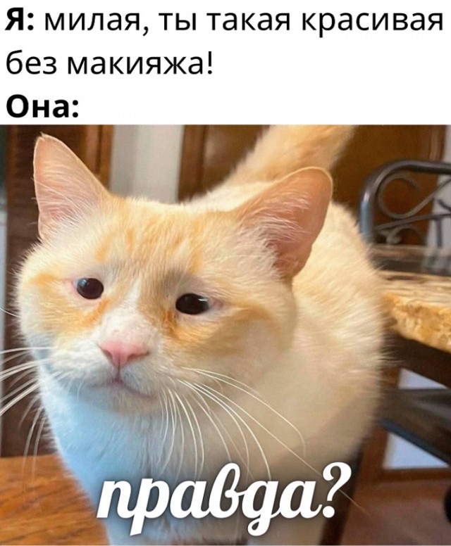 Картинки и мемы, всем хороших выходных