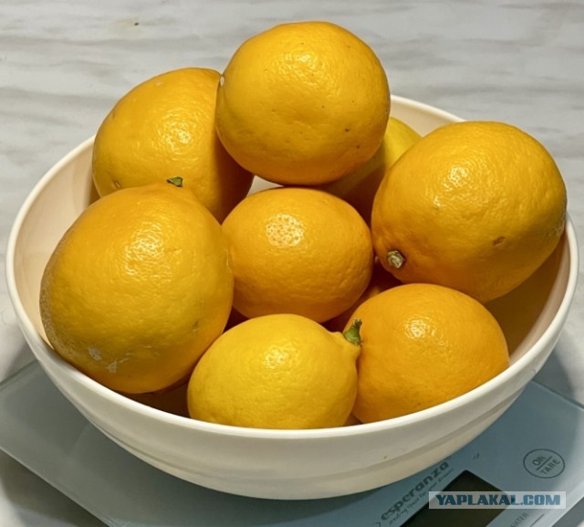 Лимоны. Варенье из ломтиков