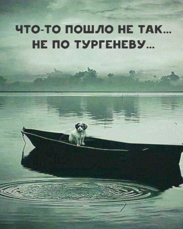 Так себе картинки 15.02.23